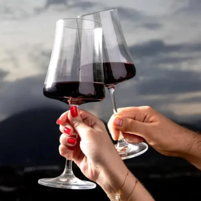 Taça Bohemia Titanium  Tinto 560ml Xtra - Image 3